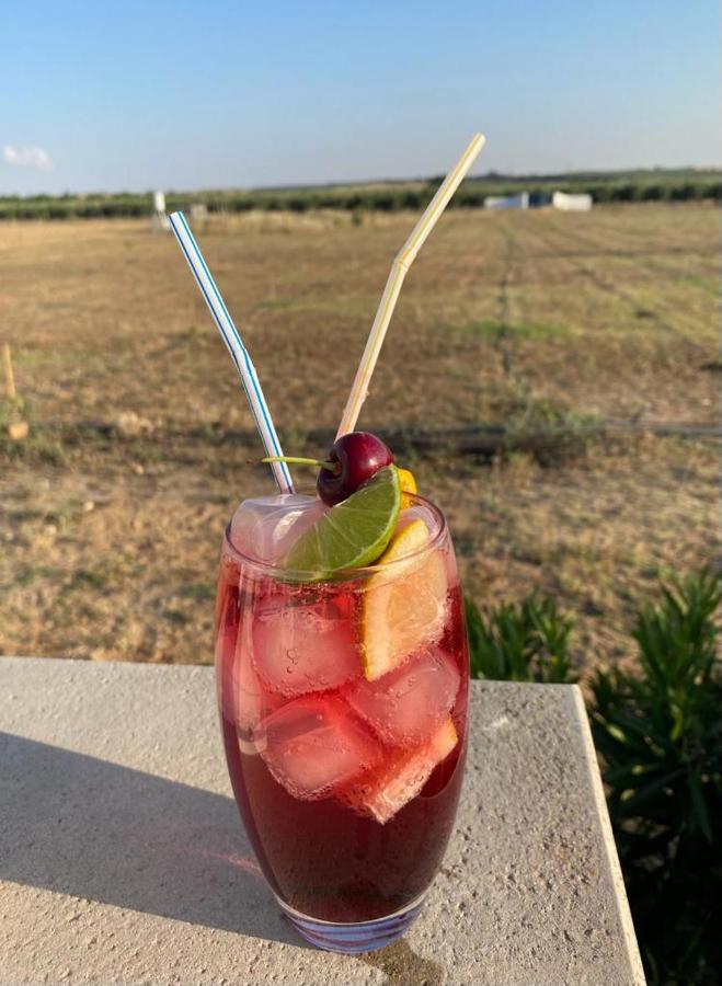 فيريرا دو ألينتيخو Quinta Da Amoreira المظهر الخارجي الصورة