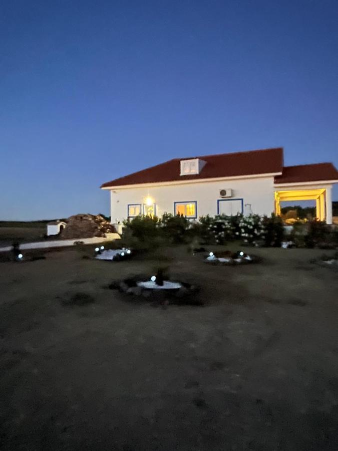 فيريرا دو ألينتيخو Quinta Da Amoreira المظهر الخارجي الصورة