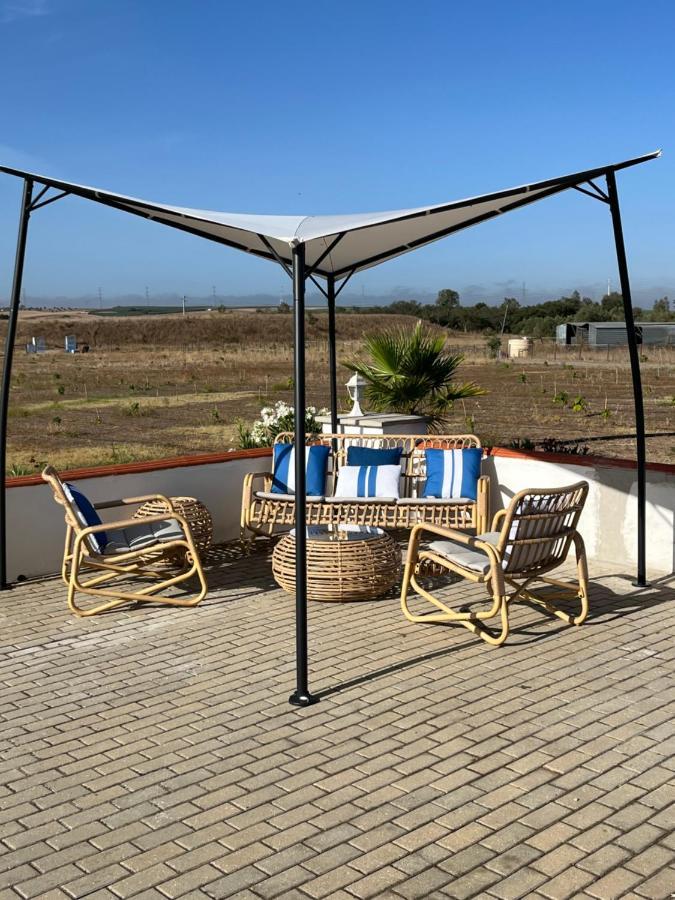 فيريرا دو ألينتيخو Quinta Da Amoreira المظهر الخارجي الصورة